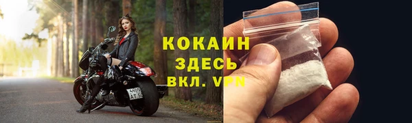 PSILOCYBIN Волосово