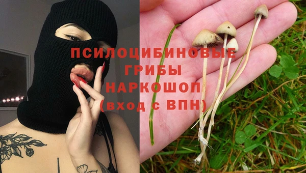 спиды Володарск