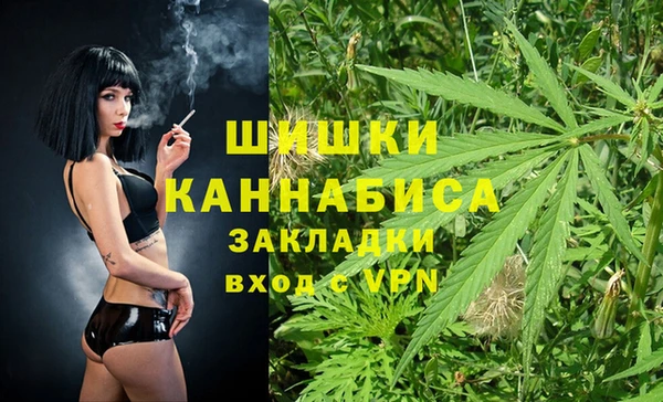 PSILOCYBIN Волосово