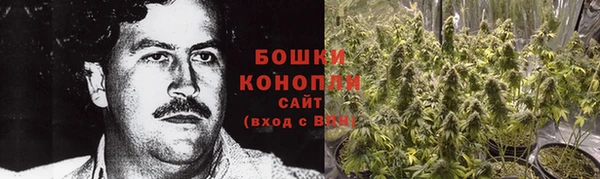 PSILOCYBIN Волосово