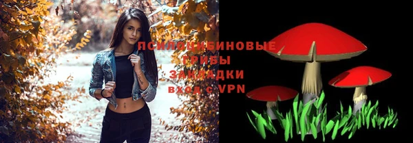 крисы Волоколамск