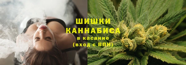 крисы Волоколамск