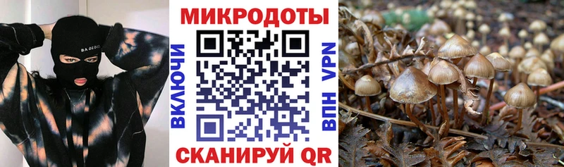 Псилоцибиновые грибы Cubensis  MEGA маркетплейс  Тара 