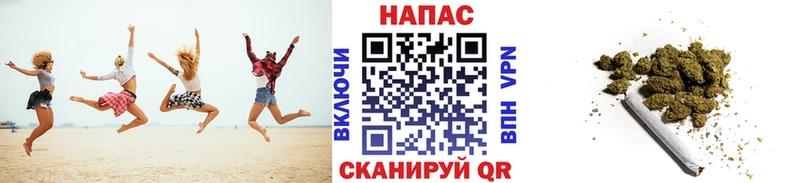 МАРИХУАНА планчик  Тара 